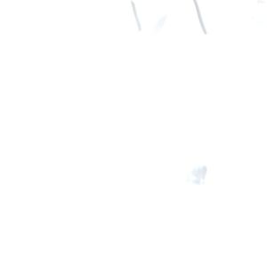 Anne Klein iflex pumps